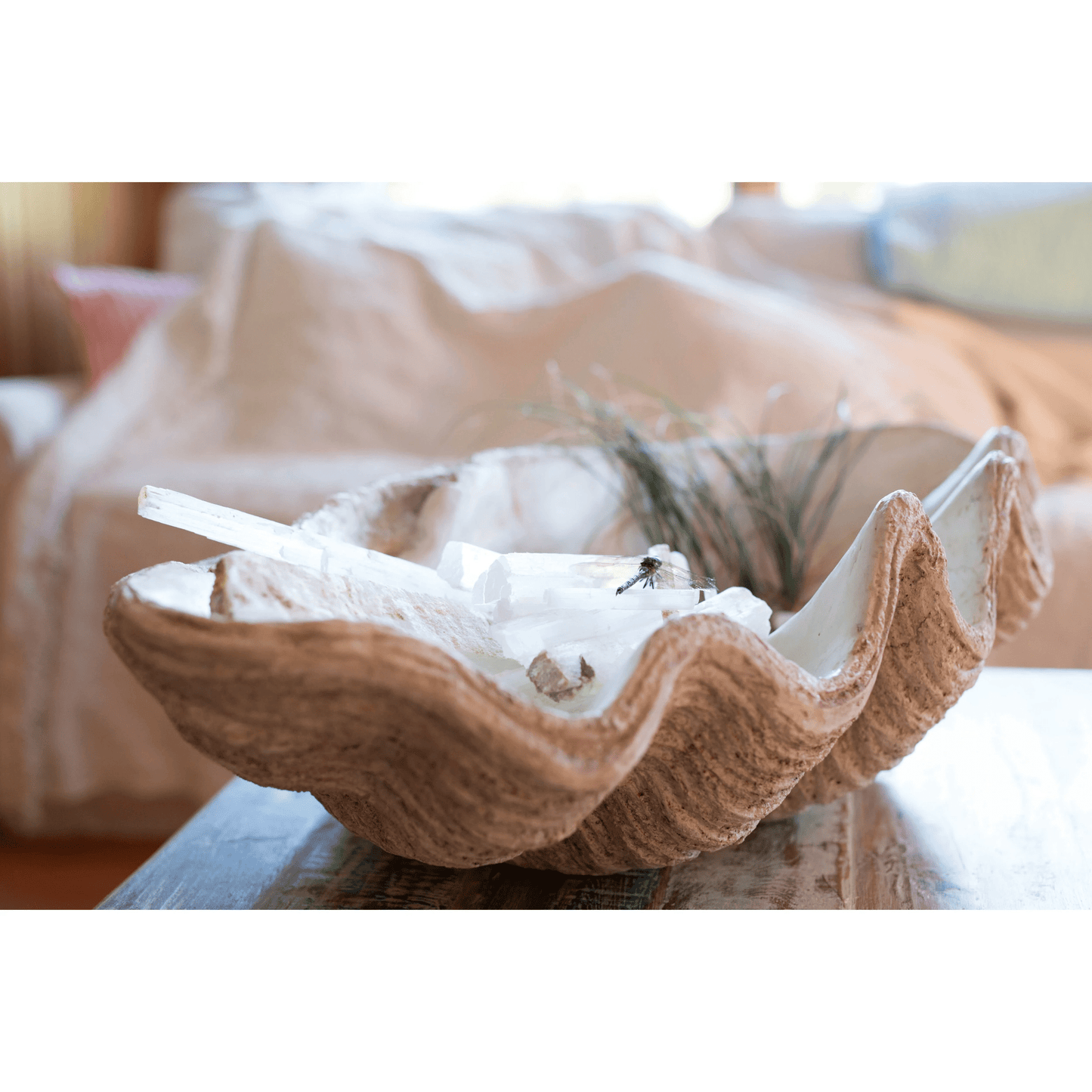 Magnesia Large Seashell Decorative Bowl