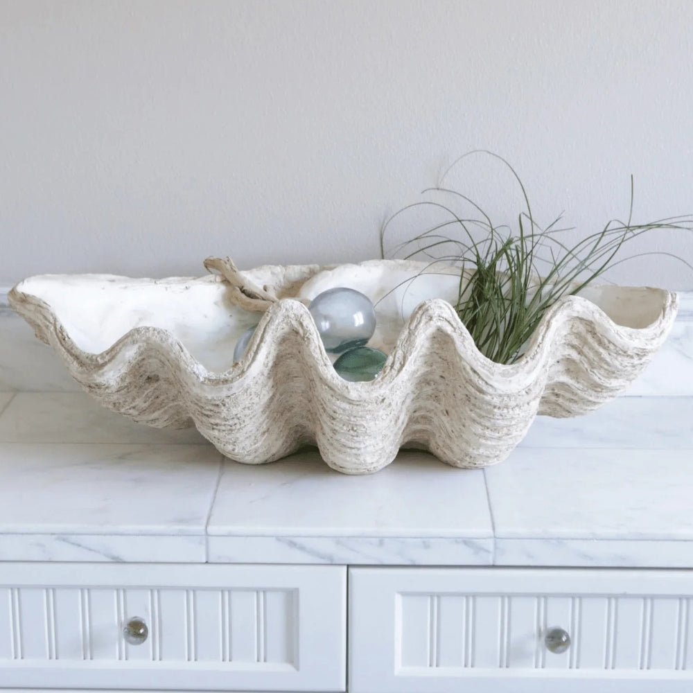Magnesia Large Seashell Decorative Bowl