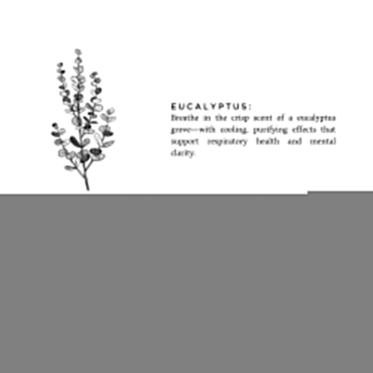 Laundry Powder - Eucalyptus + Lavender