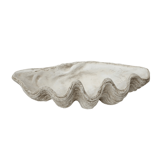 Magnesia Large Seashell Decorative Bowl